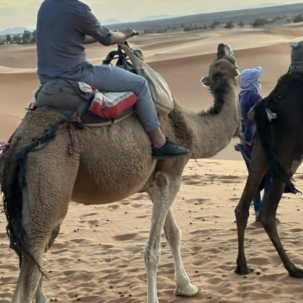 442493697_10227845281851986_976286464874322540_n