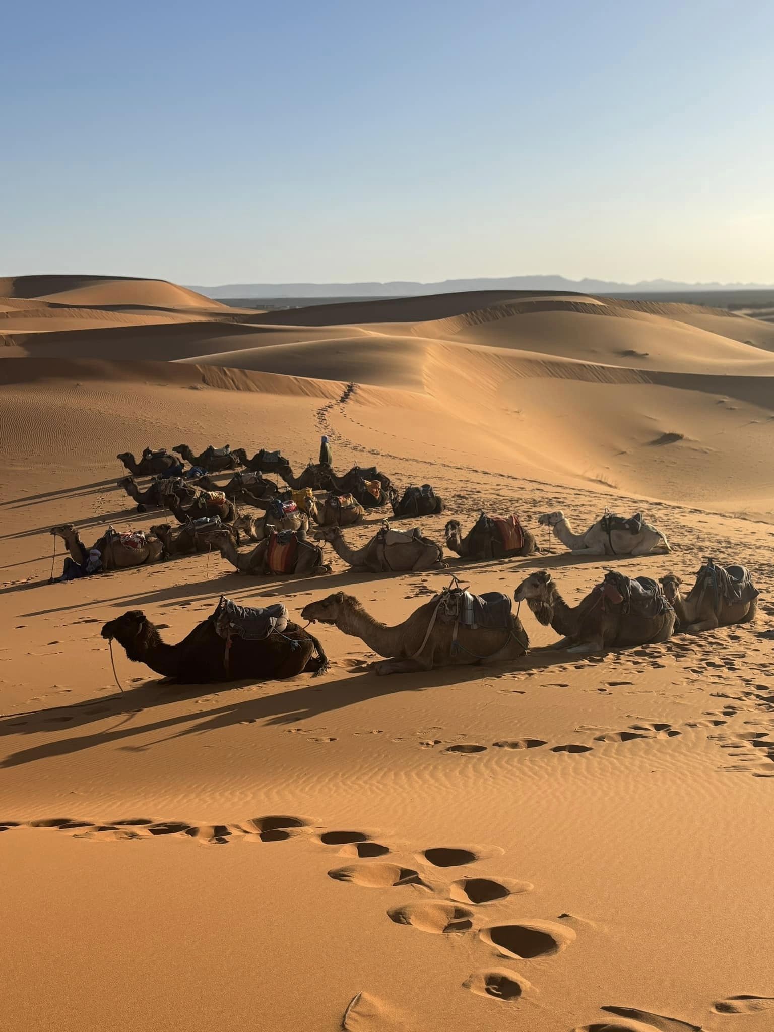 442484963_10227845372054241_2647029124626355725_n